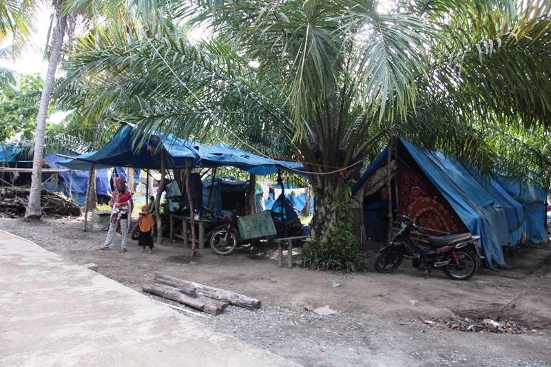 Kondisi tenda pengunsian di Dusun Ahuleang, Desa Mekkatta, Kecamatan Malunda, Majene. (Dok. Zulkifli)